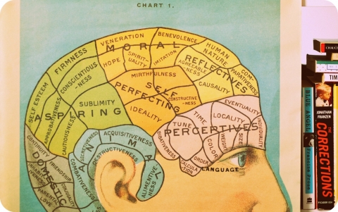 Phrenology Head